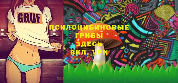 соль курить ск Алзамай