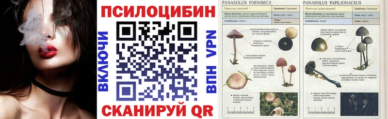 блэк спрут зеркало Лениногорск Галлюциногенные грибы GOLDEN TEACHER даркнет сайт